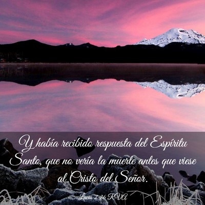 Picture 03 - Lucas 2:26 RVA - Y había recibido respuesta del Espíritu Santo, - Bible Verse Picture