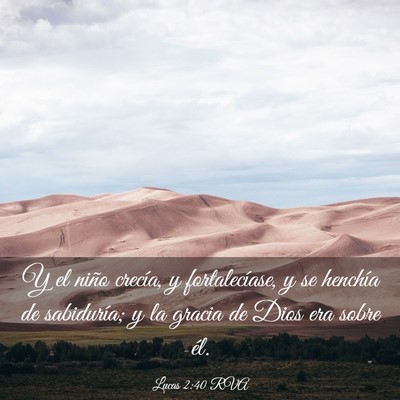 Picture 03 - Lucas 2:40 RVA - Y el niño crecía, y fortalecíase, y se - Bible Verse Picture