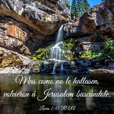 Picture 03 - Lucas 2:45 RVA - Mas como no le hallasen, volvieron á Jerusalem - Bible Verse Picture