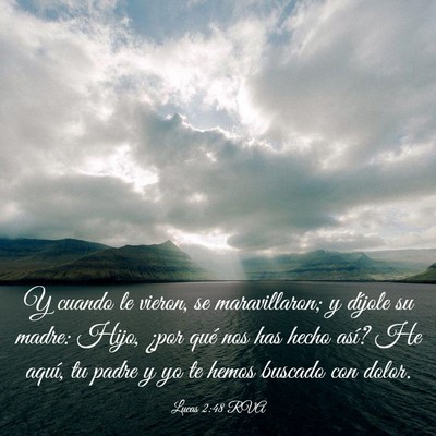 Picture 03 - Lucas 2:48 RVA - Y cuando le vieron, se maravillaron; y díjole su - Bible Verse Picture