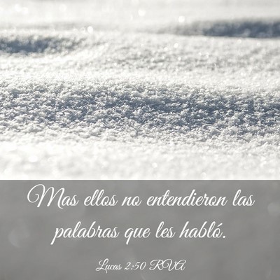 Picture 03 - Lucas 2:50 RVA - Mas ellos no entendieron las palabras que les - Bible Verse Picture