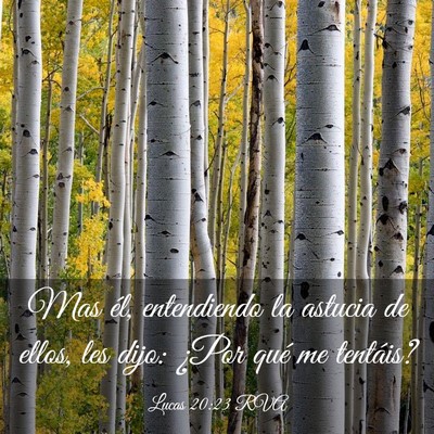 Picture 03 - Lucas 20:23 RVA - Mas él, entendiendo la astucia de ellos, les - Bible Verse Picture