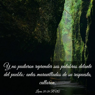 Picture 03 - Lucas 20:26 RVA - Y no pudieron reprender sus palabras delante del - Bible Verse Picture