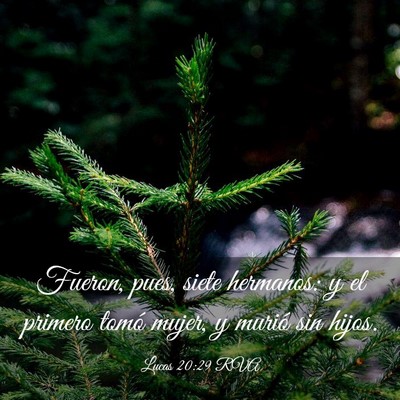 Picture 03 - Lucas 20:29 RVA - Fueron, pues, siete hermanos: y el primero tomó - Bible Verse Picture