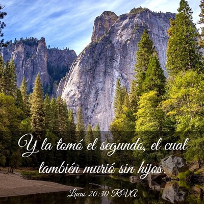 Picture 03 - Lucas 20:30 RVA - Y la tomó el segundo, el cual también murió - Bible Verse Picture