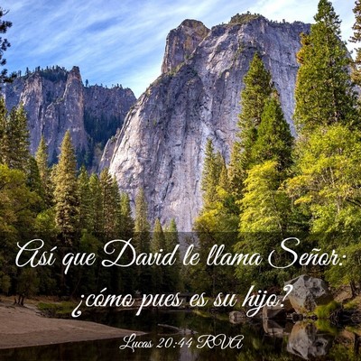 Picture 03 - Lucas 20:44 RVA - Así que David le llama Señor: ¿cómo pues es - Bible Verse Picture