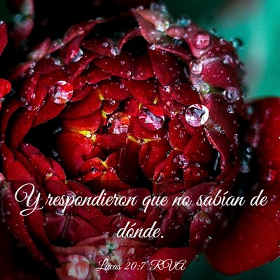 Picture 03 - Lucas 20:7 RVA - Y respondieron que no sabían de - Bible Verse Picture