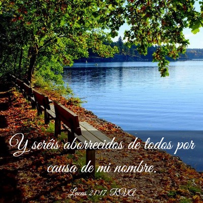 Picture 03 - Lucas 21:17 RVA - Y seréis aborrecidos de todos por causa de mi - Bible Verse Picture