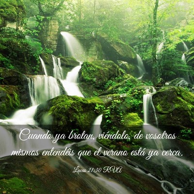 Picture 03 - Lucas 21:30 RVA - Cuando ya brotan, viéndolo, de vosotros mismos - Bible Verse Picture