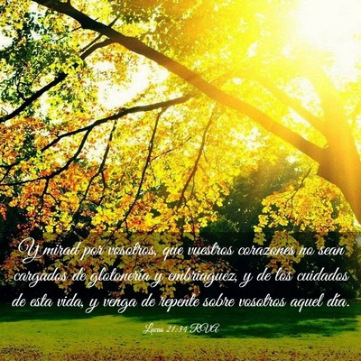 Picture 03 - Lucas 21:34 RVA - Y mirad por vosotros, que vuestros corazones no - Bible Verse Picture