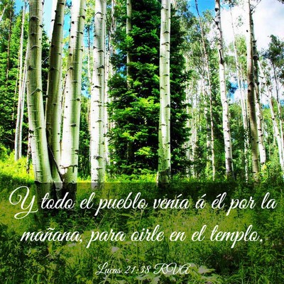 Picture 03 - Lucas 21:38 RVA - Y todo el pueblo venía á él por la mañana, - Bible Verse Picture