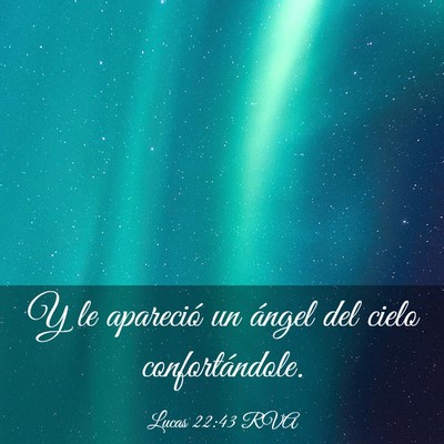 Picture 03 - Lucas 22:43 RVA - Y le apareció un ángel del cielo - Bible Verse Picture