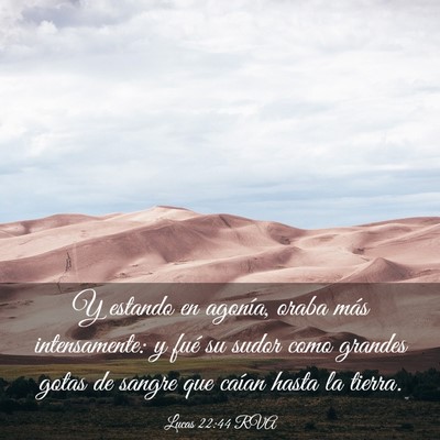 Picture 03 - Lucas 22:44 RVA - Y estando en agonía, oraba más intensamente: y - Bible Verse Picture