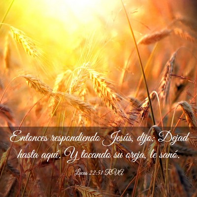 Picture 03 - Lucas 22:51 RVA - Entonces respondiendo Jesús, dijo: Dejad hasta - Bible Verse Picture