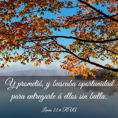 Picture 03 - Lucas 22:6 RVA - Y prometió, y buscaba oportunidad para - Bible Verse Picture