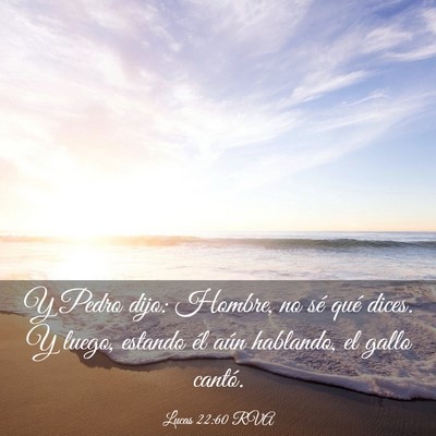 Picture 03 - Lucas 22:60 RVA - Y Pedro dijo: Hombre, no sé qué dices. Y luego, - Bible Verse Picture