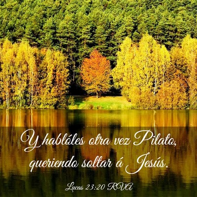 Picture 03 - Lucas 23:20 RVA - Y hablóles otra vez Pilato, queriendo soltar á - Bible Verse Picture