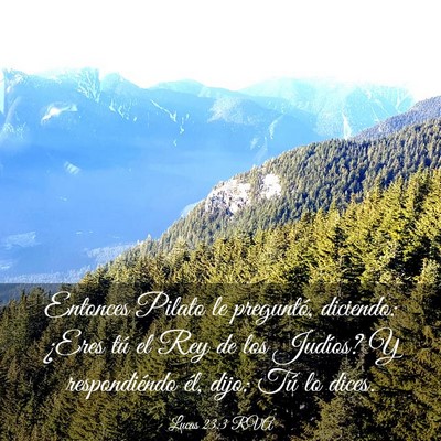 Picture 03 - Lucas 23:3 RVA - Entonces Pilato le preguntó, diciendo: ¿Eres - Bible Verse Picture