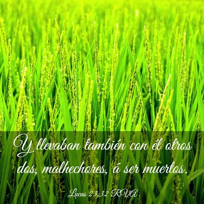 Picture 03 - Lucas 23:32 RVA - Y llevaban también con él otros dos, - Bible Verse Picture