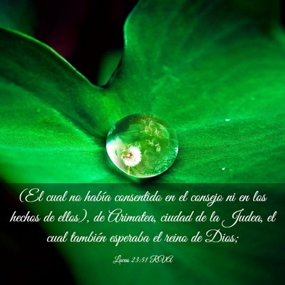 Picture 03 - Lucas 23:51 RVA - (El cual no había consentido en el consejo ni en - Bible Verse Picture