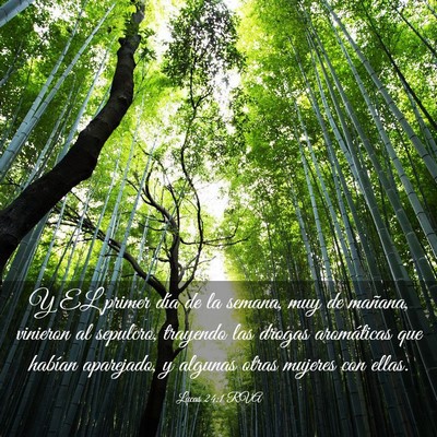 Picture 03 - Lucas 24:1 RVA - Y EL primer día de la semana, muy de mañana, - Bible Verse Picture