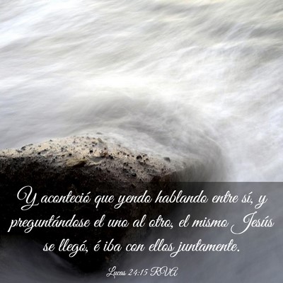 Picture 03 - Lucas 24:15 RVA - Y aconteció que yendo hablando entre sí, y - Bible Verse Picture