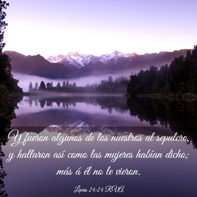 Picture 03 - Lucas 24:24 RVA - Y fueron algunos de los nuestros al sepulcro, y - Bible Verse Picture