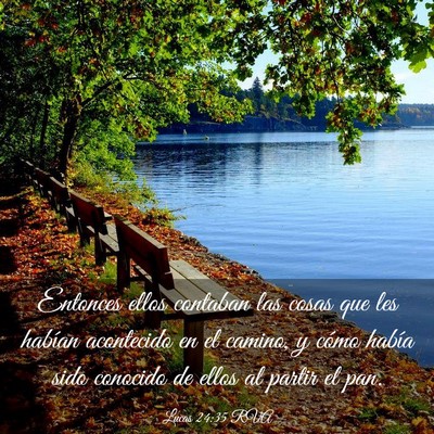 Picture 03 - Lucas 24:35 RVA - Entonces ellos contaban las cosas que les habían - Bible Verse Picture