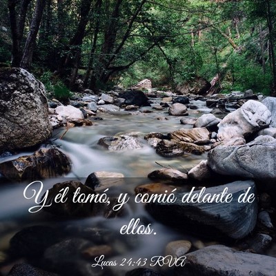 Picture 03 - Lucas 24:43 RVA - Y él tomó, y comió delante de - Bible Verse Picture
