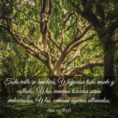 Picture 03 - Lucas 3:5 RVA - Todo valle se henchirá, Y bajaráse todo monte y - Bible Verse Picture