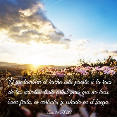 Picture 03 - Lucas 3:9 RVA - Y ya también el hacha está puesta á la raíz - Bible Verse Picture
