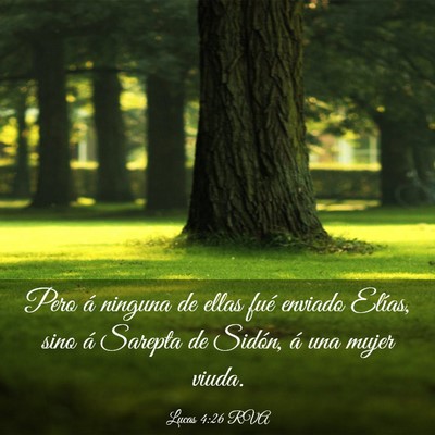 Picture 03 - Lucas 4:26 RVA - Pero á ninguna de ellas fué enviado Elías, - Bible Verse Picture