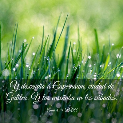 Picture 03 - Lucas 4:31 RVA - Y descendió á Capernaum, ciudad de Galilea. Y - Bible Verse Picture