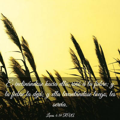 Picture 03 - Lucas 4:39 RVA - E inclinándose hacia ella, riñó á la fiebre; - Bible Verse Picture