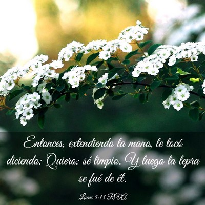 Picture 03 - Lucas 5:13 RVA - Entonces, extendiendo la mano, le tocó diciendo: - Bible Verse Picture