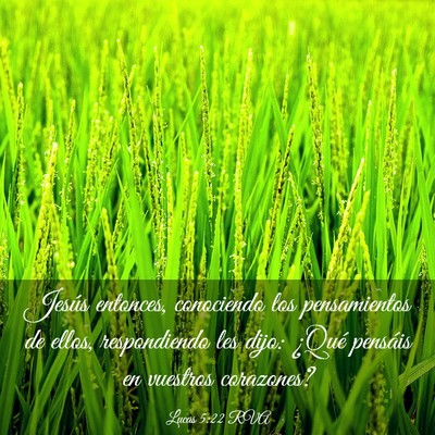Picture 03 - Lucas 5:22 RVA - Jesús entonces, conociendo los pensamientos de - Bible Verse Picture
