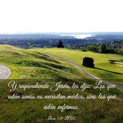 Picture 03 - Lucas 5:31 RVA - Y respondiendo Jesús, les dijo: Los que están - Bible Verse Picture