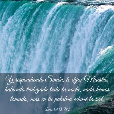 Picture 03 - Lucas 5:5 RVA - Y respondiendo Simón, le dijo: Maestro, habiendo - Bible Verse Picture