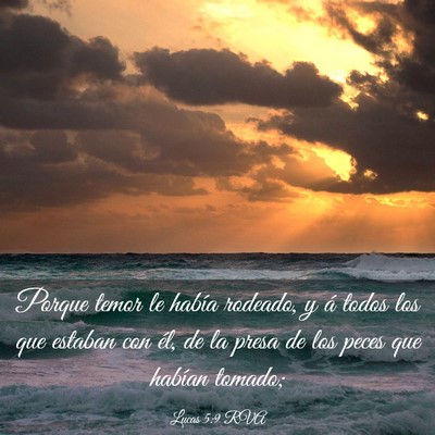 Picture 03 - Lucas 5:9 RVA - Porque temor le había rodeado, y á todos los - Bible Verse Picture