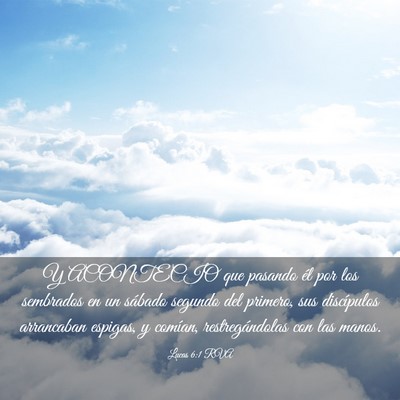 Picture 03 - Lucas 6:1 RVA - Y ACONTECIO que pasando él por los sembrados en - Bible Verse Picture