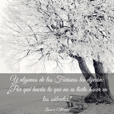 Picture 03 - Lucas 6:2 RVA - Y algunos de los Fariseos les dijeron: ¿Por qué - Bible Verse Picture