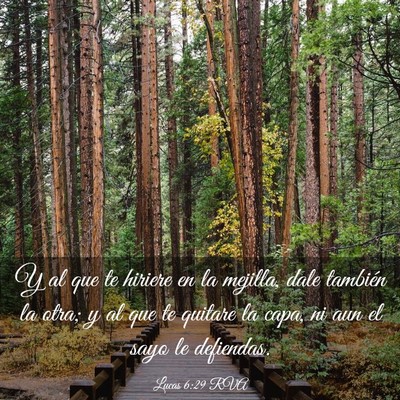 Picture 03 - Lucas 6:29 RVA - Y al que te hiriere en la mejilla, dale también - Bible Verse Picture