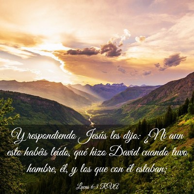 Picture 03 - Lucas 6:3 RVA - Y respondiendo Jesús les dijo: ¿Ni aun esto - Bible Verse Picture