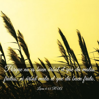 Picture 03 - Lucas 6:43 RVA - Porque no es buen árbol el que da malos frutos; - Bible Verse Picture