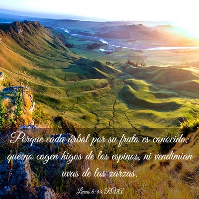 Picture 03 - Lucas 6:44 RVA - Porque cada árbol por su fruto es conocido: que - Bible Verse Picture