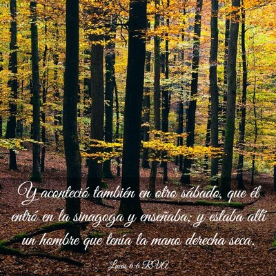 Picture 03 - Lucas 6:6 RVA - Y aconteció también en otro sábado, que él - Bible Verse Picture