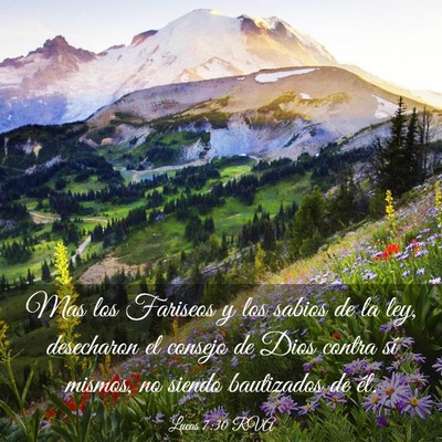 Picture 03 - Lucas 7:30 RVA - Mas los Fariseos y los sabios de la ley, - Bible Verse Picture