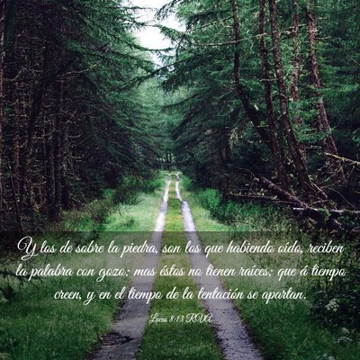 Picture 03 - Lucas 8:13 RVA - Y los de sobre la piedra, son los que habiendo - Bible Verse Picture