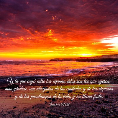 Picture 03 - Lucas 8:14 RVA - Y la que cayó entre las espinas, éstos son los - Bible Verse Picture