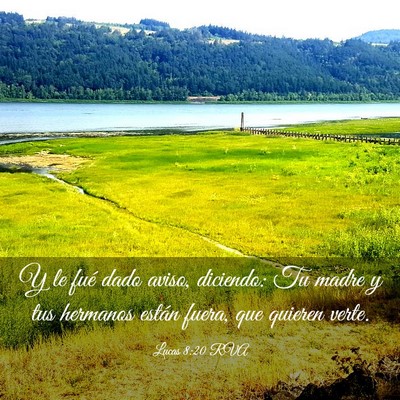 Picture 03 - Lucas 8:20 RVA - Y le fué dado aviso, diciendo: Tu madre y tus - Bible Verse Picture